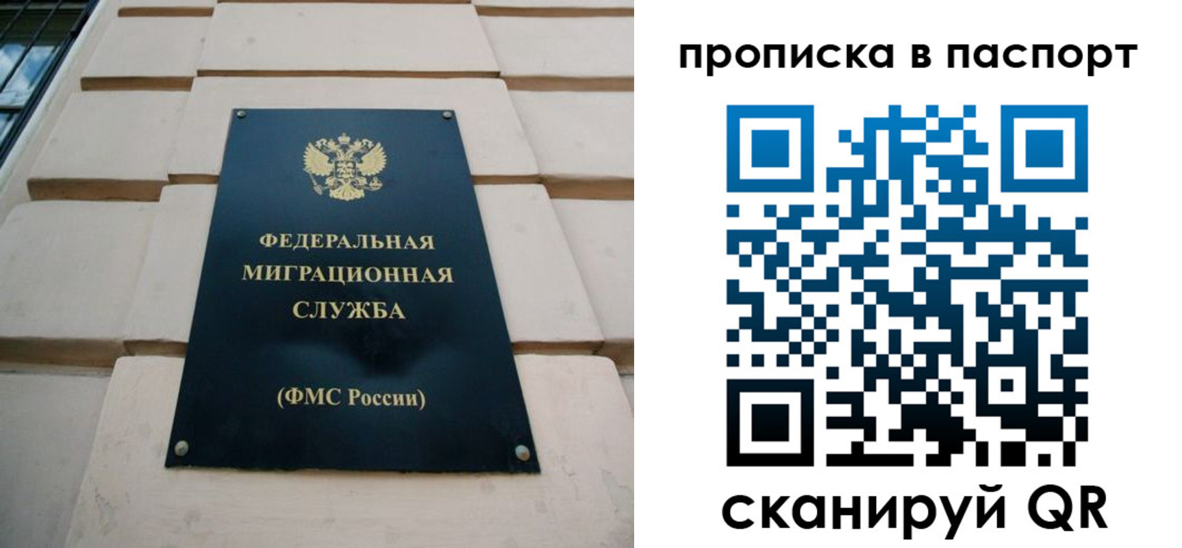 найти адрес прописки в Ногинске